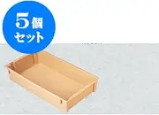 Set of 5 Lacquerware Polypropylene Resin (Heat Resistant Temperature 120°C), WF-300 Container Beige, Outer Dimensions 28.3 x 16.5 x 6.7 inches (66.4 x 42 x 17 cm), Interior Dimensions: 26.2 x 14.8 x