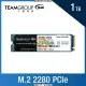 TEAM十銓 MP33 PRO 1TB M.2 PCIe SSD ( TM8FPD001T0C101 ) TEAM十銓 MP33 PRO 1TB M.2 PCIe SSD ( TM8FPD [O4G] [全新免運][編號 X23321]