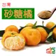 免運!【果味仙】砂糖橘5斤一盒 5斤 /紙盒 (12盒60斤,每斤143.3元)