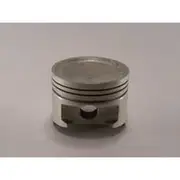 Austral Piston Set - PO1264A STD