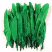 Tiny Goose Pointer Feathers 10 grams - Green