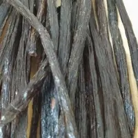 在飛比找蝦皮購物優惠-大溪地品種 香草莢17公分+- 1支 印屬新幾內亞產 的 大