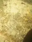 858.99 Grams Bonanza Grade Beautiful Calaverite Gold Ore with Silver Copper Iron