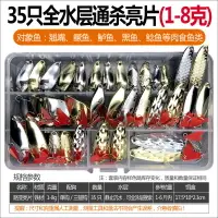 在飛比找樂天市場購物網優惠-35路亞亮片套裝 淡水海水假餌黑專殺闆套裝