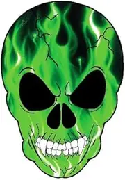 OTA STICKER Bumper Vinyl Skeleton Skull Ghost Devil Zombie Fire Green Flame Burning Decal Laptop Notebook Helmet Luggage Truck Window Door Motorcycle Vehicle Gift