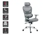 Ergolux EZ11 Ergonomic Office Chair with Dynamic Lumbar Support (Grey)