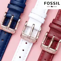 在飛比找蝦皮購物優惠-好品質適配FOSSIL手錶帶女 真皮 化石ES3737/37