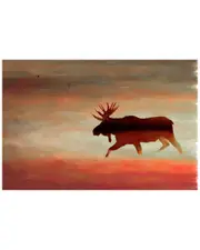Marmont Hill Moosehead