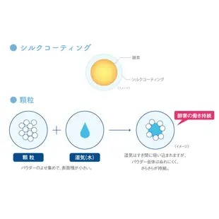 〔現貨〕Kanebo佳麗寶 Suisai 新升級加強保濕 酵素洗顏粉 32顆 潔顏粉【MissBerry日本代購】
