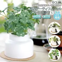在飛比找Yahoo!奇摩拍賣優惠-日本 KISHIMA - CT光觸媒 消臭仿真 綠色人造盆栽