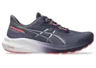 SALE | Asics Gel GT 1000 13 Womens Running Shoes (D Wide) (500)