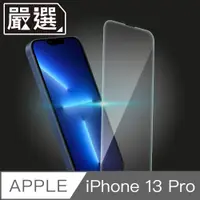 在飛比找PChome24h購物優惠-嚴選 iPhone 13 Pro 自動吸附疏水疏油非滿版鋼化