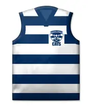 Geelong Cats AFL Team Guernsey Cushion Pillow