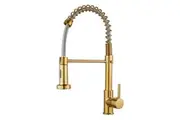 Gold Kitchen Faucet Sink Faucet with Sprayer Stainless Steel Faucet for Kitchen Camper