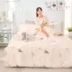 【DUYAN 竹漾】奧地利天絲單人床包被套三件組 / 尋覓小貓 台灣製