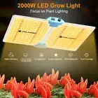 Phlizon 2000W Grow Light Sunlike Full Spectrum with Samsung LED for Indoor Plant