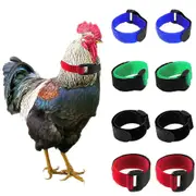 Chicken Collar Soft Texture Anti-cock Crowing Adjustable Anti-hook Rooster Collar Poultry Supplies