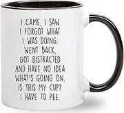 I Came I Saw I Forgot What I Was Doing Coffee Mug - Funny Senior Citizens Sarcastic Gifts Old People Elderly Mom Dad Grandma Grandpa - Presents Mothers Day Fathers Day Birthday - 11 oz Novelty Cup