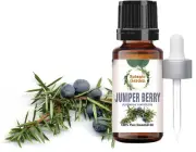 Juniper Berry Or Juniperus Communis Oil For Natural Antiseptic 100% Pure Oil