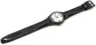 SWATCH STANDARDS 2002 - GB212C - VARNISHING PROMO Fido - New
