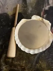 Sea Shell Turkey Call. Aluminum Surface. Comes With Striker