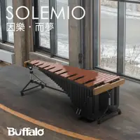 在飛比找蝦皮購物優惠-【Buffalo Music】🇹🇼BUFFALO SOLEM