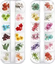 Teenior 24 Colors Nail Dried Flowers, 3D Nail Art Sticker for Tips Manicure Decor Mixed Accessories, Starry Leaves Flower (2 Boxes)