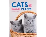 Cats in Small Places 2025 Diary Bi-Weekly A5 Hardcover Spiral Diary/Planner