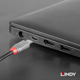 LINDY林帝 Type-C to B USB2.0 Type-C 公 TO Type-B 公 傳輸線 1公尺 2公尺