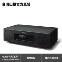 在飛比找蝦皮商城優惠-Yamaha TSX-B237 桌上型音響 Qi無線充電 藍