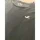 Hollister logo T-shirt size M