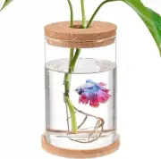 Aquarium Mini Fish Bowls for Beta Fish Glass Aquaponic Fish Tank Clear Hydroponi