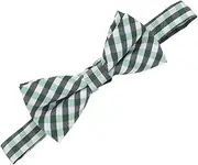 [WATIIFUFU] Unique Design Toddler Bow Tie Boys Green St. Patricks Day Party Bow Ties Comfortable Polyester Clip-on Bow Ties for Kids