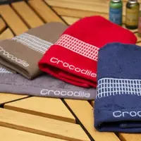 在飛比找PChome24h購物優惠-【CROCODILE 鱷魚牌】風靡尊貴素色浴巾