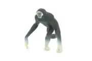 Toy Silver Gibbon, Ape, Hand Painted Rubber Monkey Realistic Model, 2" SF67 B16