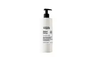 L'Or al Professionnel Serie Expert Metal Detox Anti-Porosity Filler Pre-Shampoo Treatment 250ml