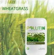 Pollitin Wheatgrass Nutraceutical Dietary Supplement Graminex Pollen Extract 50