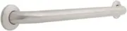 Franklin Brass 24" Center to Center Concealed Mount Grab Bar - Stainless