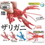 全套3款 日本正版 可動生物系列 動感小龍蝦 扭蛋 轉蛋 迷你龍蝦 動物模型 TARLIN - 180396