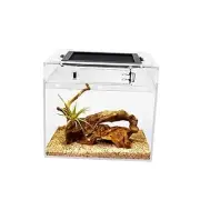 Mini Reptile Terrarium,Reptile Tank with Full View 8" x 8"x 8" Transparent