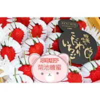 在飛比找蝦皮購物優惠-日本草莓種子. 昂貴菊池糖蜜草莓 (3L熊本ひのしずく) *
