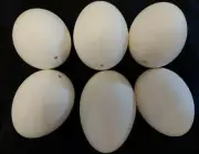 12 Empty Blown Goose Eggs Blown White Shell Pysanky Easter One Hole Free Ship