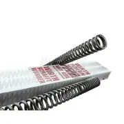 Wirth Progressive Gabelfeder-Satz (With ABE) - Suzuki GS 500 E ( Wvbk )