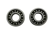 Pair of Crankshaft Bearings for Baumr-Ag SX62 62cc Chainsaw Chain Saw