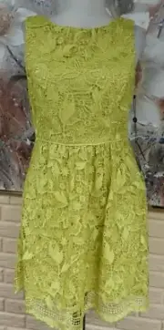 NWT ADRIANNA PAPELL SZ 4M FIT / FLARE VENICE LACE DRESS ACID RAIN COLOR PER TAG