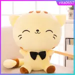 CUTE SMILE CAT BIG FACE PLUSH STUFFED TOYS KIDS CHILD SOFT