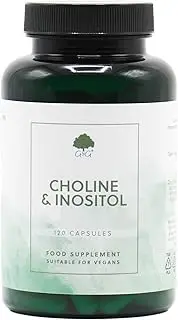 G&G Vitamins 250 mg Choline and 250 mg Inositol - 120 Vegan Capsules