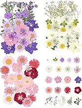 Dried Pressed Flowers for Resin Small Real Pressed Flowers Natural Dry Leaves Bulk for Scrapbooking Resin Jewelry Card Candle Making DIY Art Crafts (Pink-White-Purple)