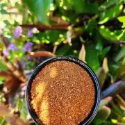 Chipotle Chip Seasoning 480g Spices Tasty Shanez Smoked Jalapeno