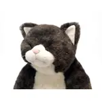 [日本直送]CUDDLY SLEEPING KINNOSUKE 《CUDDLY 是一種毛絨玩具，可愛到讓人想擁抱它》